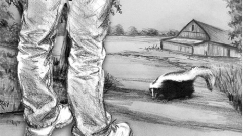 The Fable of Caspar and the Skunk