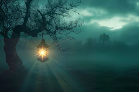 The Light of Darkness